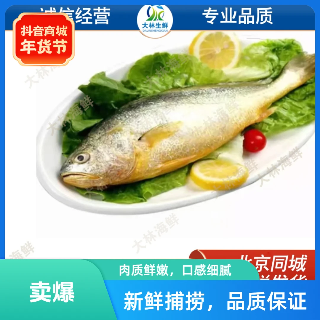 福建冰鲜黄花鱼 500-600g/条 条数可选