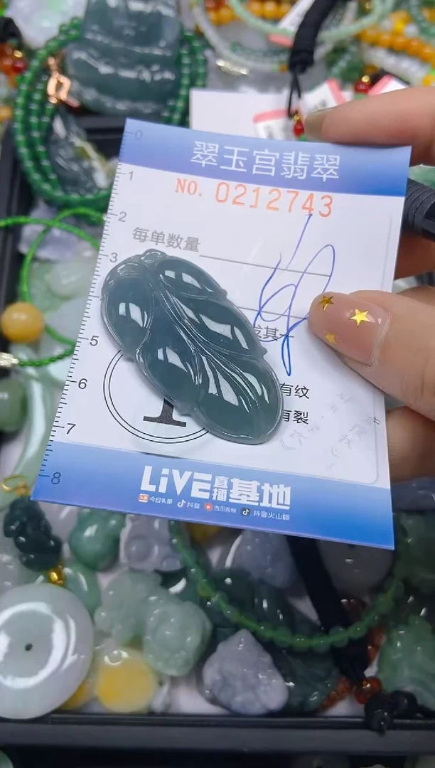 颈饰未镶嵌翡翠闪购C0212743