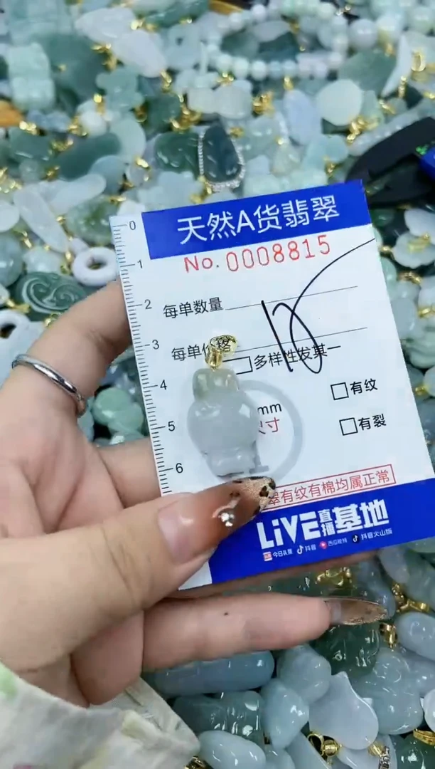 【闪购商品】翡翠颈饰未镶嵌天然A货翡翠