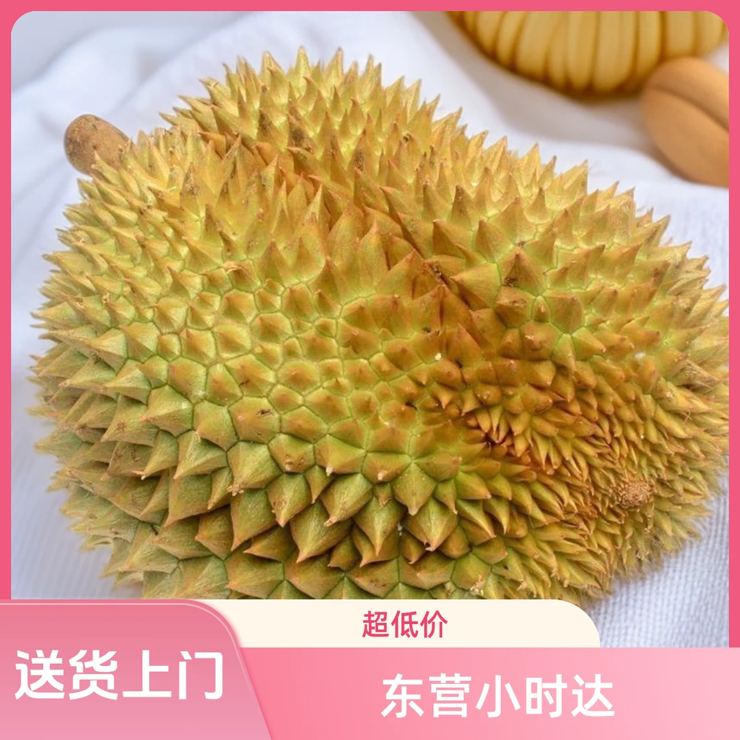 {新鲜泰国金枕榴莲核小} 一物一拍现场拨开 (单果约3斤-8斤)金枕泰国