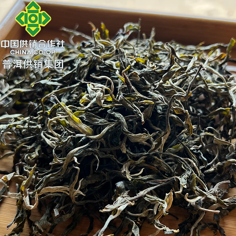 《普洱供销集团》2025  千家寨野生散茶  普洱茶生茶 50克