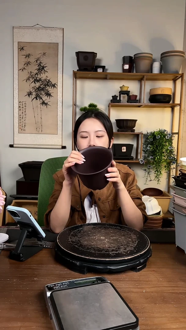 10只15口径金钟紫檀色