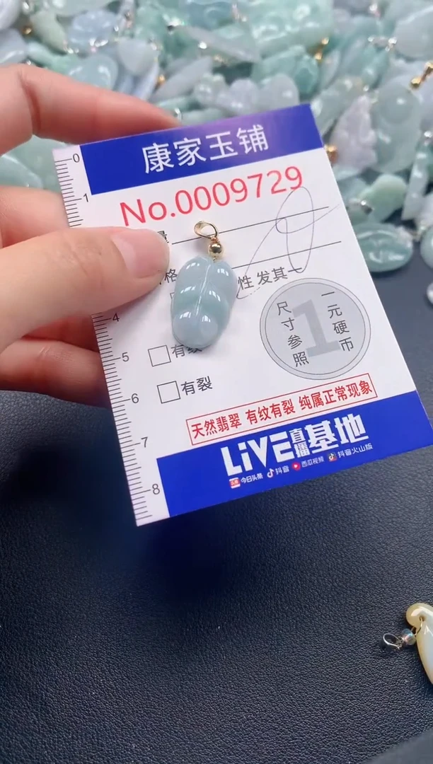 颈饰未镶嵌翡翠9729