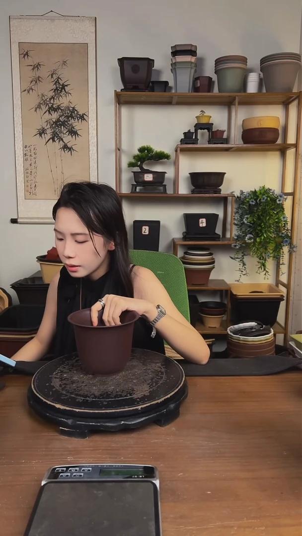 10只15口径金钟紫檀色