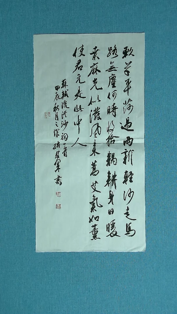 【闪购商品】书法045 上海赵冠军中书协69*34