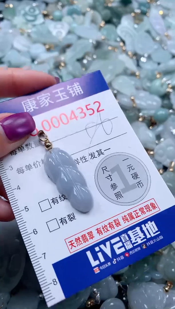 颈饰未镶嵌翡翠4352