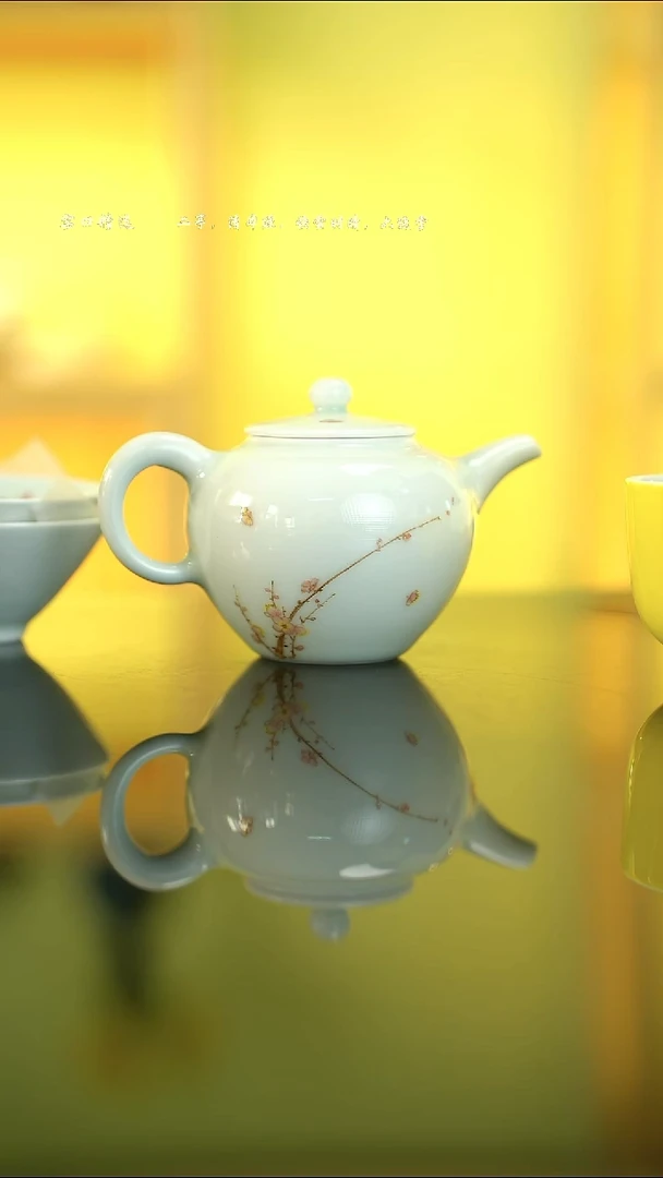 瓷戏墨-白釉梅花望月壶