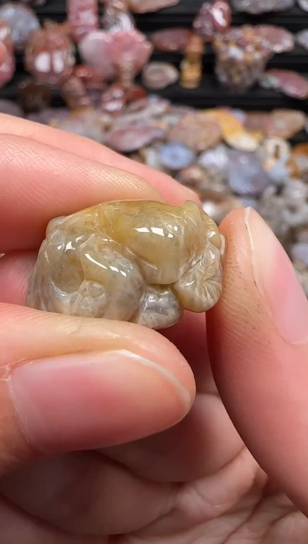 【闪购商品】硅化珊瑚（珊瑚玉）颈饰未镶嵌296