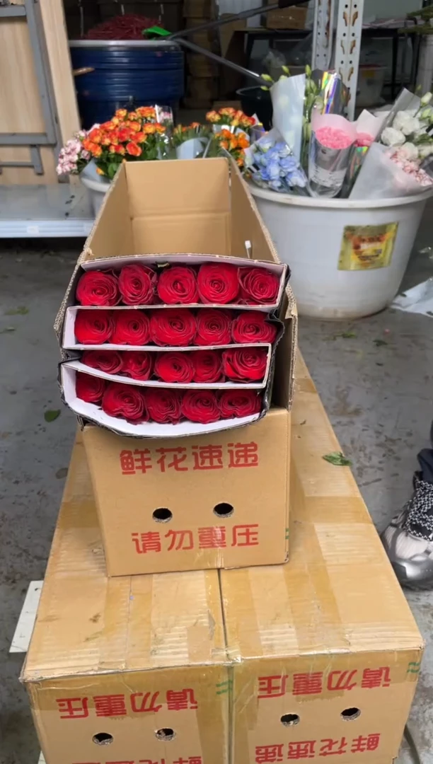 高原红20枝*****