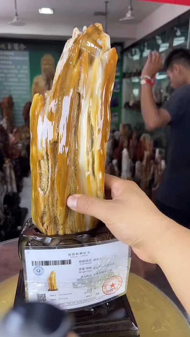 未镶嵌珠宝奇石硅化玉缅甸天然树化玉摆件