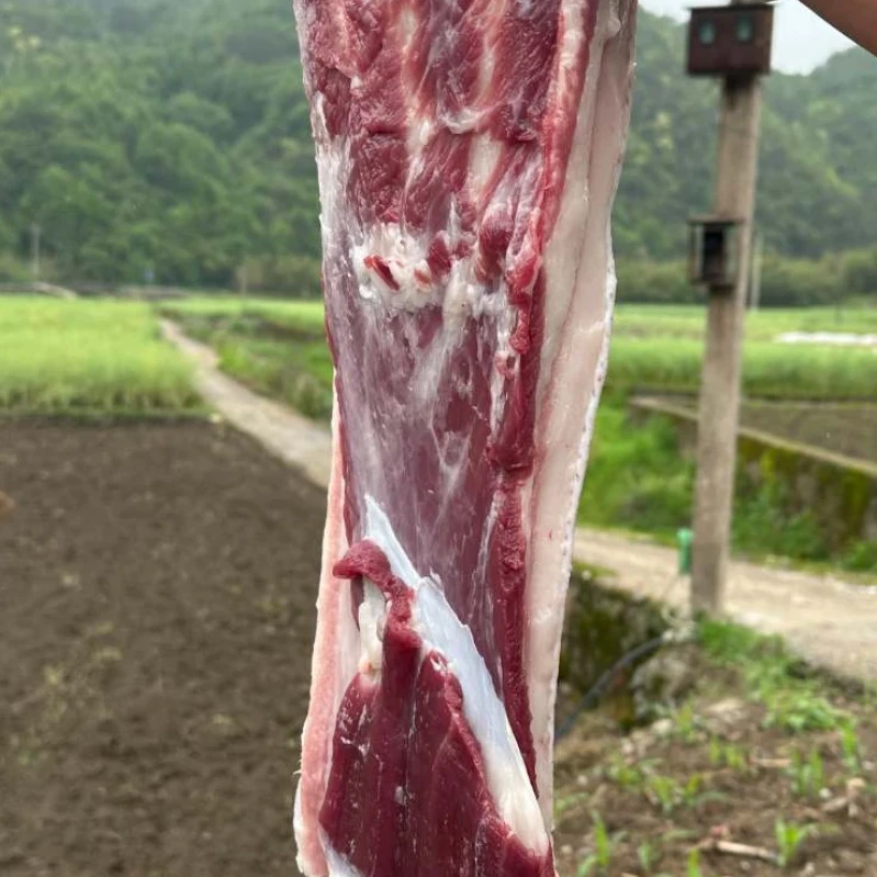 【村支书姚其飞】农家熟食土黑猪精品五花肉（现场称重）