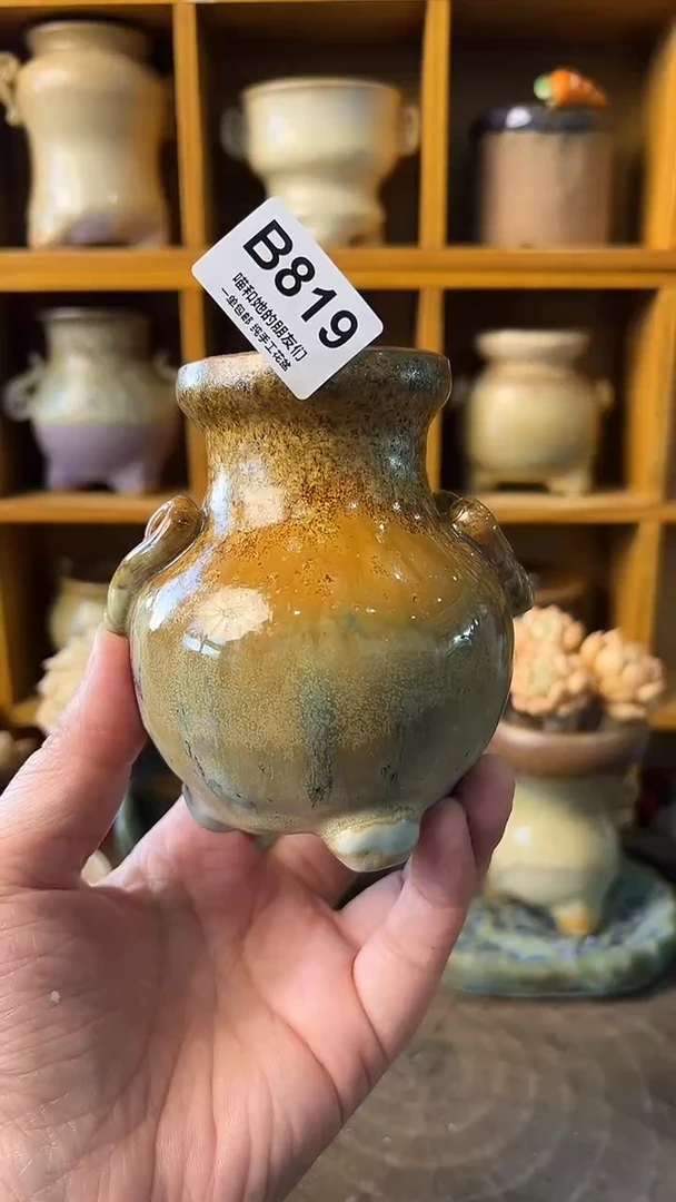 819 内口5【多肉花盆多肉盆】