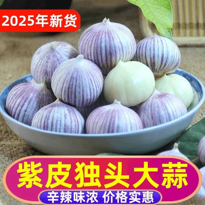 【买2斤送1斤】正宗紫皮独头大蒜3斤特价腊八蒜特大号新鲜干大蒜抢
