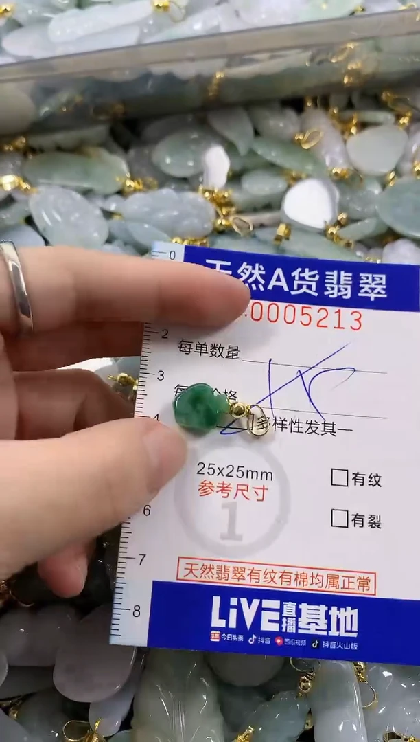 颈饰未镶嵌翡翠天然A货翡翠