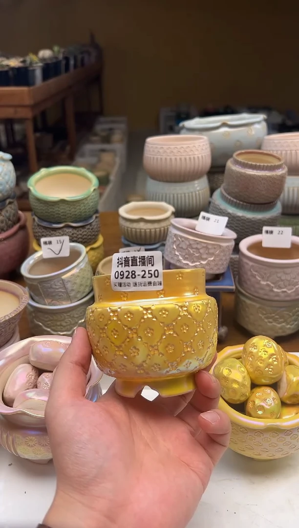 0928-250 内口7 秋日上盆季精品盆