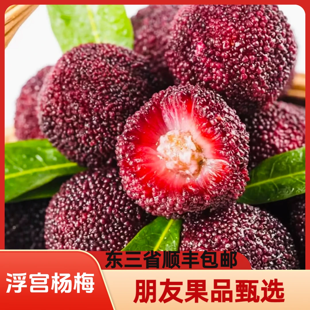 【福建漳州浮宫杨梅400克/盒】东三省顺丰包邮新鲜杨梅