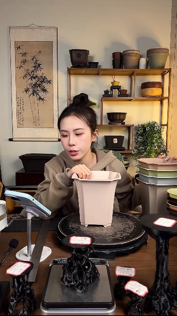 18*17.5四方尊 5只装混色