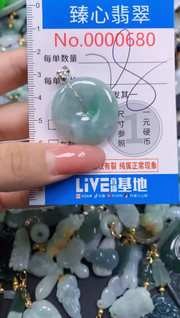 翡翠未镶嵌颈饰680