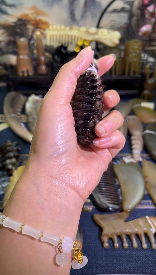 云南老白水白水黑金刚小刺猬