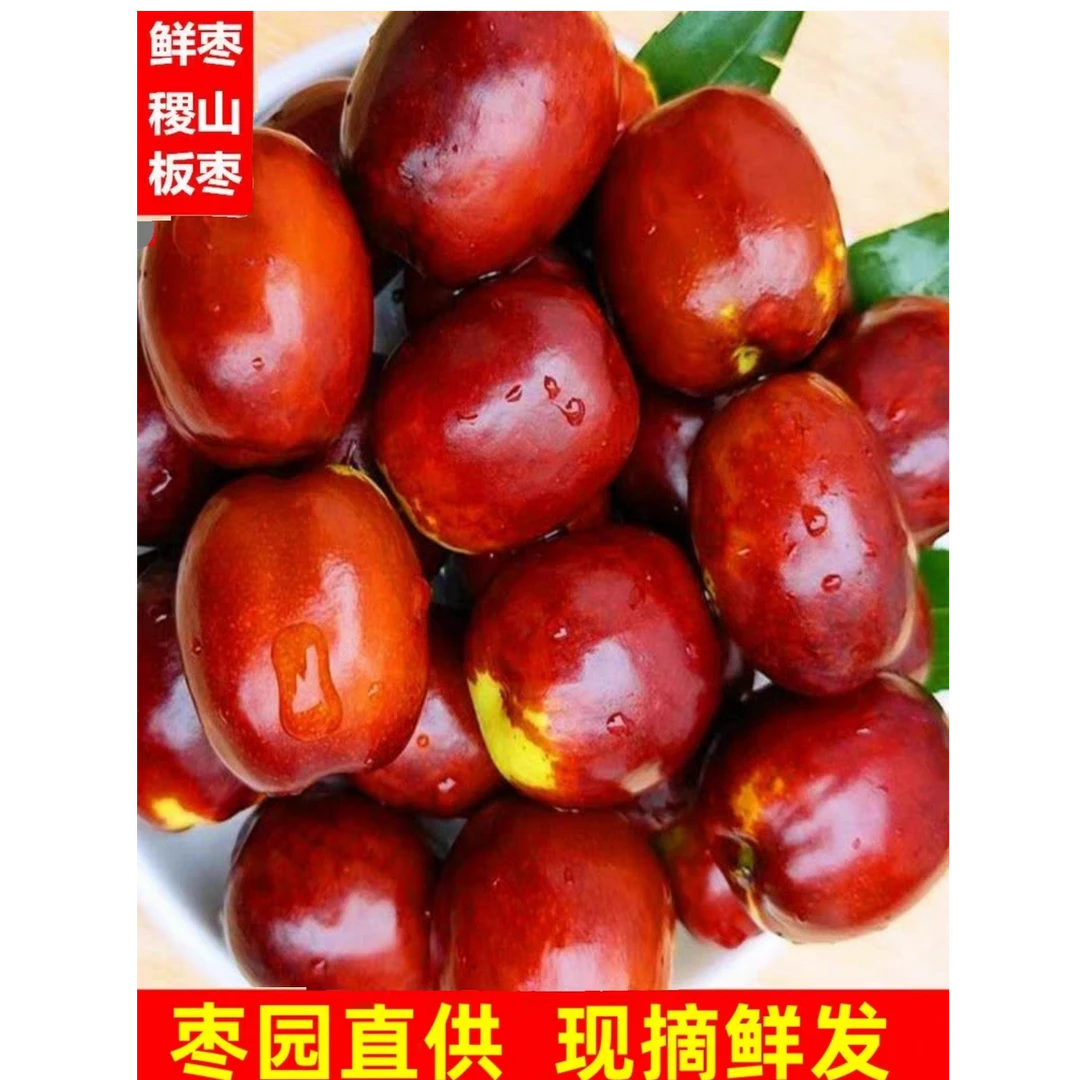 山西稷山板枣新鲜应季水果现摘现发脆甜可口非冬枣