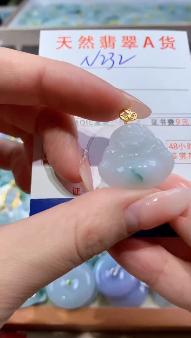颈饰未镶嵌翡翠天然缅甸翡翠A货挂件