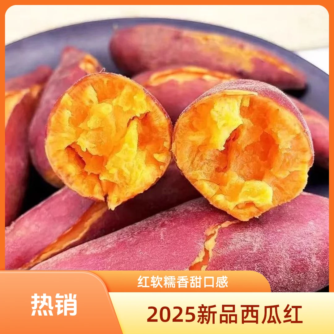 自冉香河南正宗西瓜红蜜薯软糯香甜糖心烤地瓜农家自种糖心烤红薯