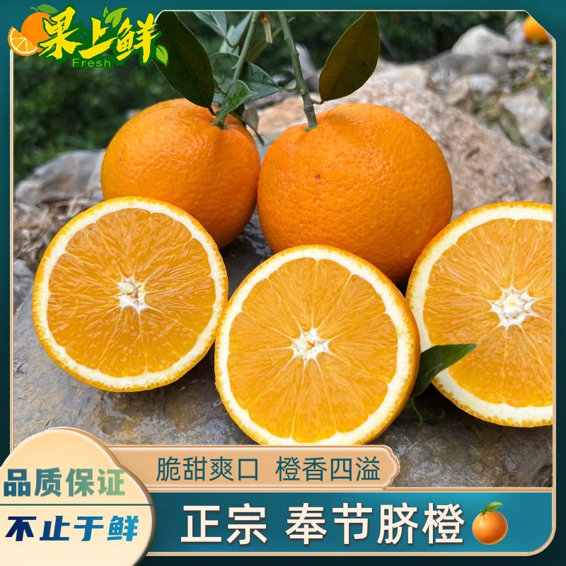 正宗奉节脐橙小果3斤装