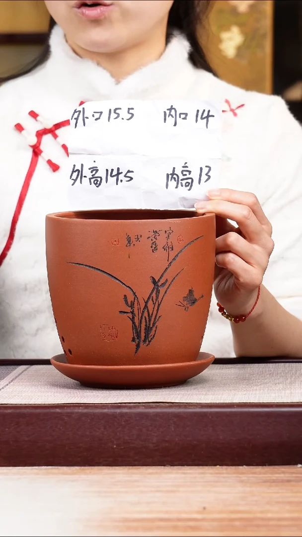 紫砂花盆清水泥君子兰2号一只带托