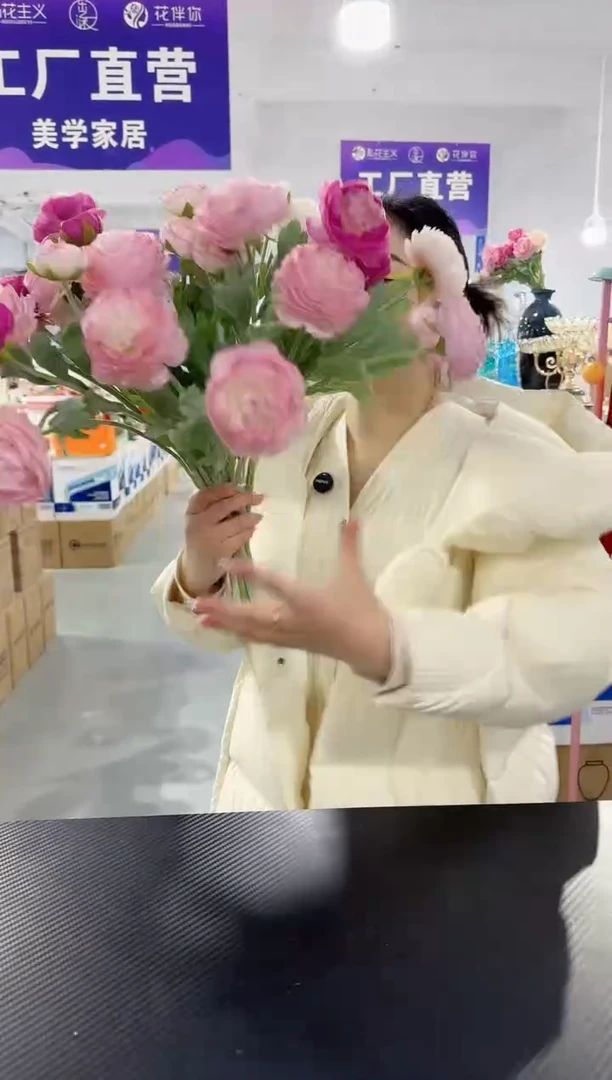 【闪购商品】玻璃DD-露莲6支·