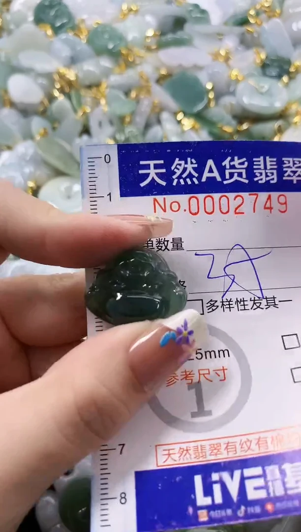 颈饰未镶嵌翡翠天然A货翡翠