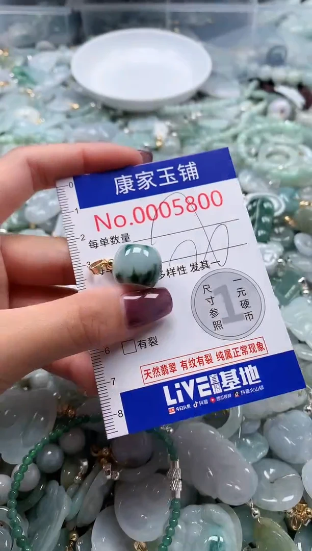翡翠未镶嵌吊坠(不含链)5800