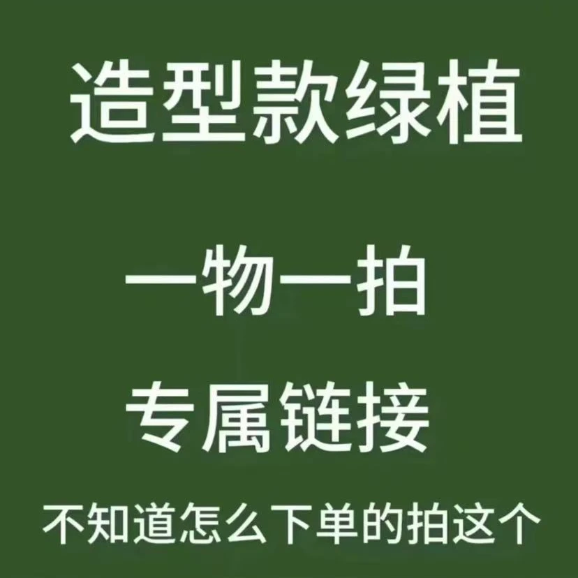 一物一拍 专属链接