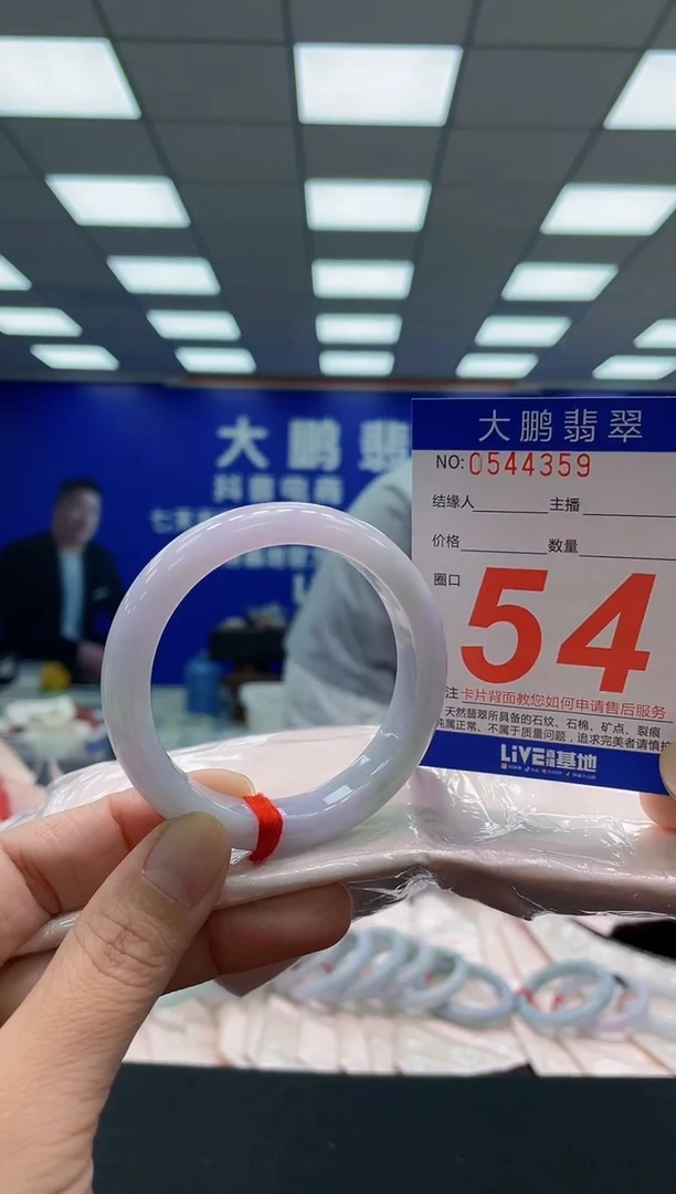 未镶嵌手镯翡翠AAAAAAAAA