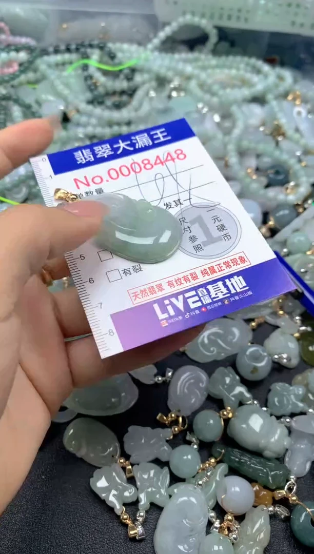 颈饰未镶嵌翡翠8448
