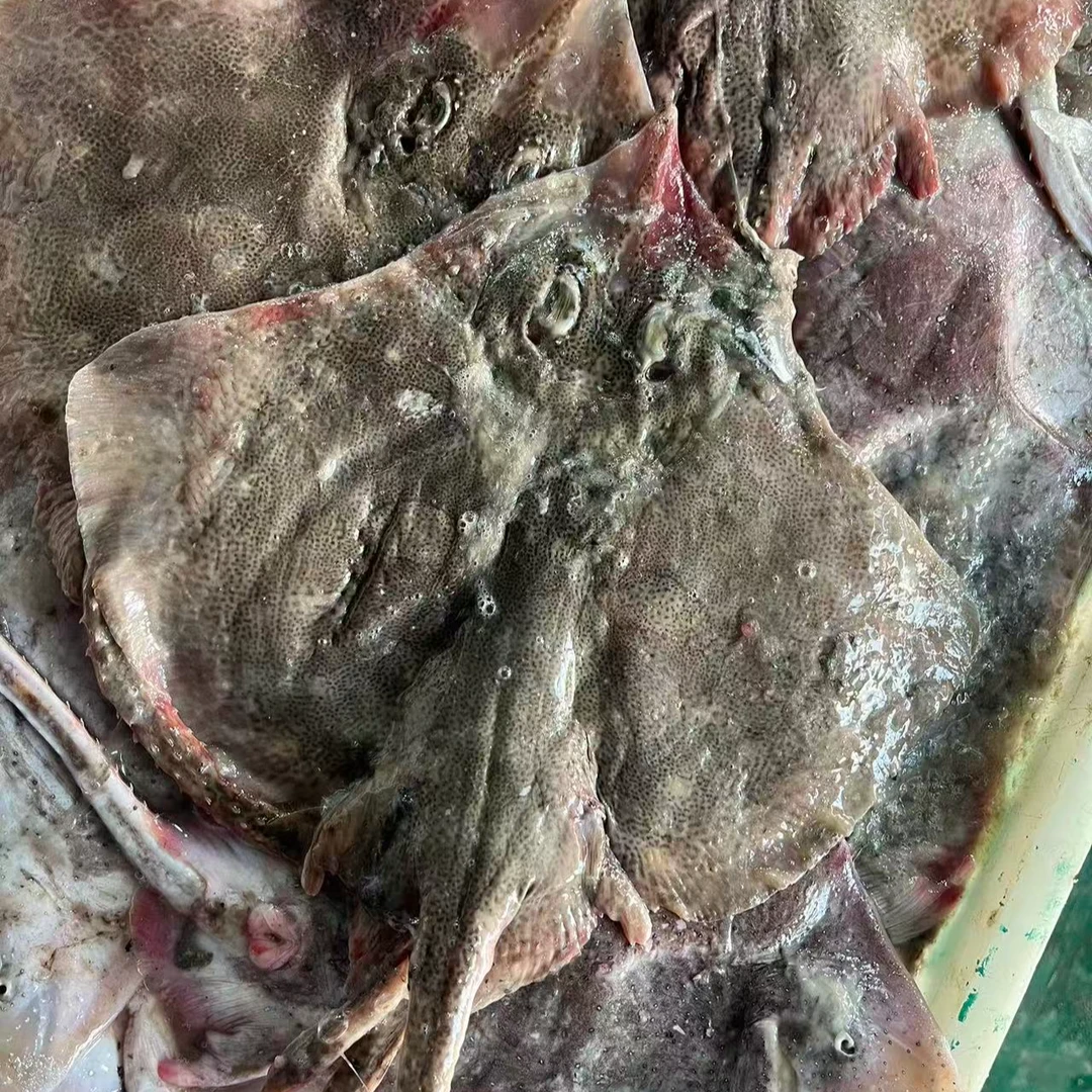 青岛当地老板鱼鳐鱼新鲜顺丰京东包邮