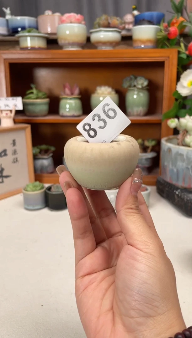 瓷片836知木小芳花盆