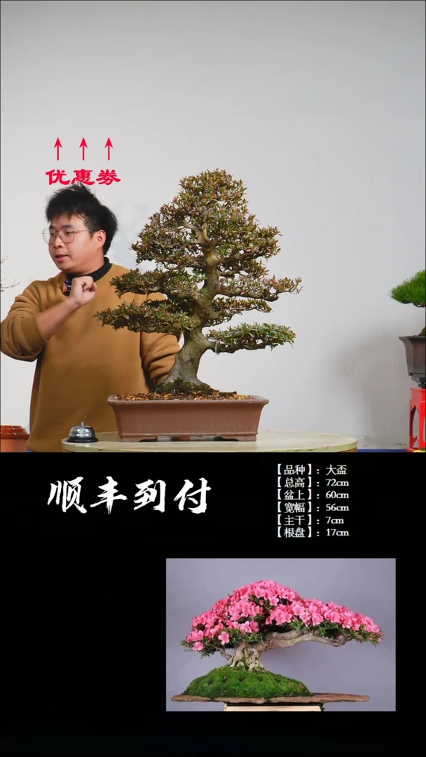 【闪购商品】1z022大盃bubaoyou