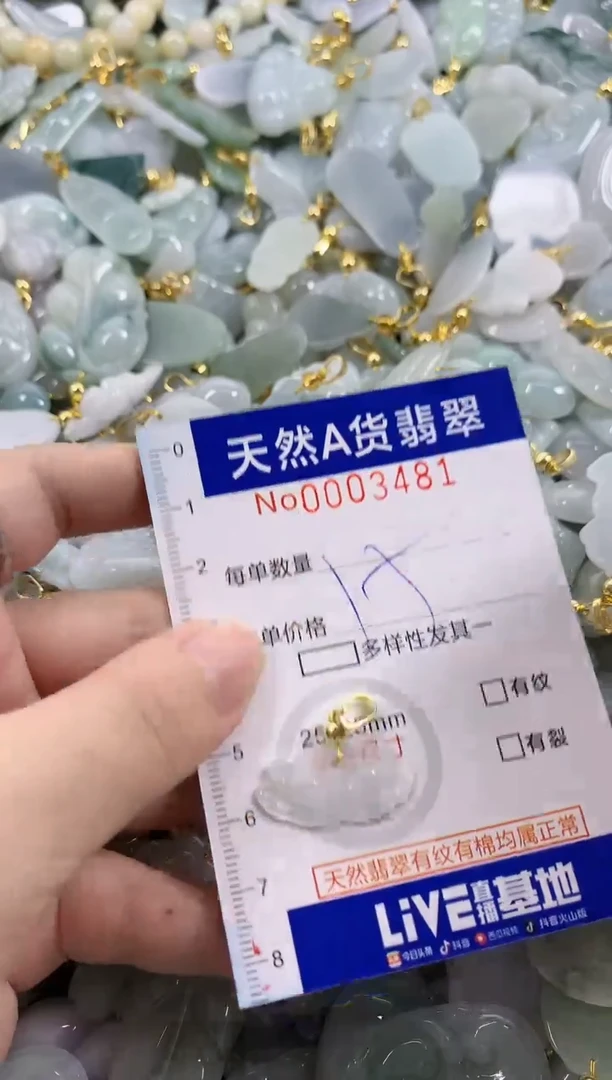 颈饰未镶嵌翡翠天然A货翡翠