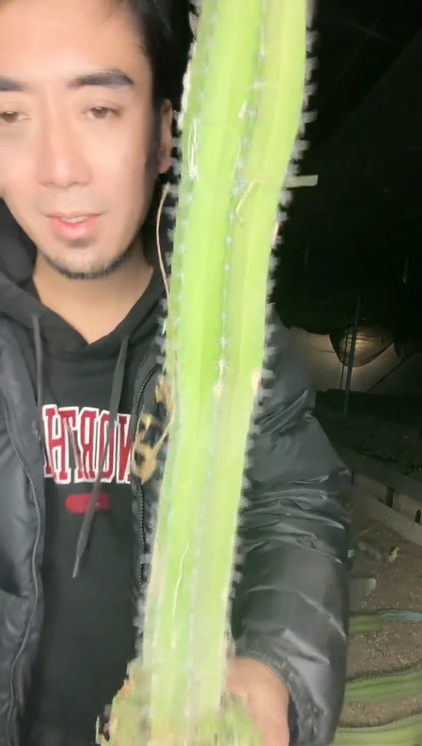 【闪购商品】雷神阁11111