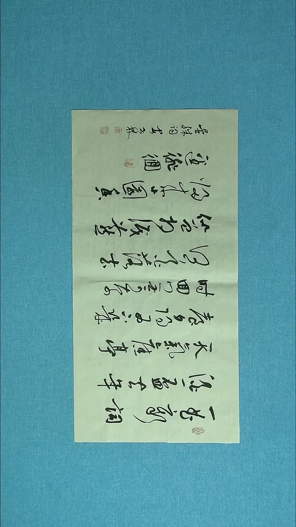 【闪购商品】书法189 甘肃安世林中书协69*34