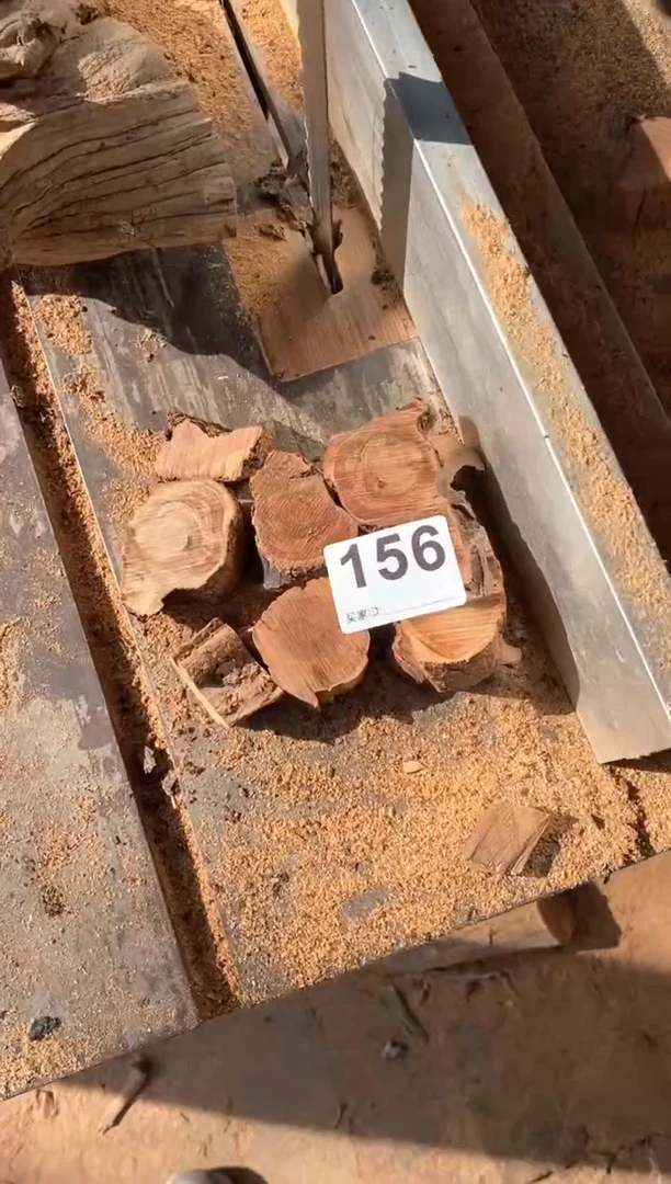 【闪购商品】柏木太行陈化崖柏（津诚林）切片