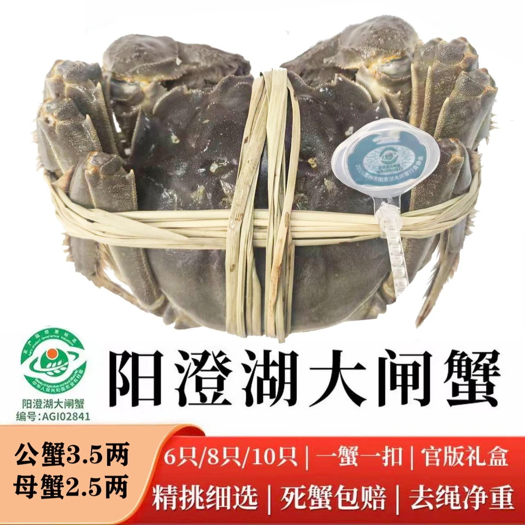 【活蟹】阳澄湖大闸蟹3.5两公5只2.5两母5只共6/8/10只顺丰空运塘养