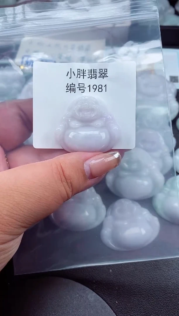 翡翠未镶嵌颈饰缅甸天然A货翡翠1981