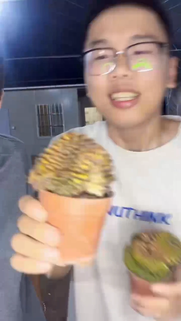 翠皇冠 缀化 【实生根】