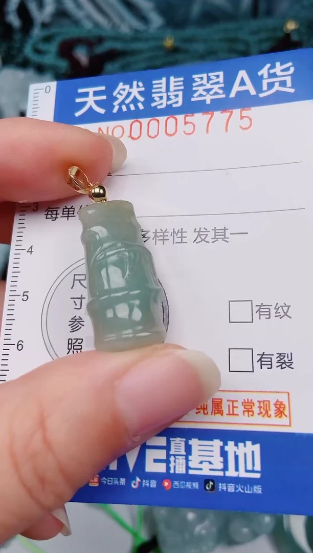 颈饰未镶嵌翡翠00005775