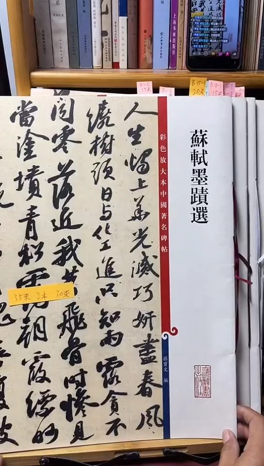 苏轼墨迹选     彩色放大本 B15-11