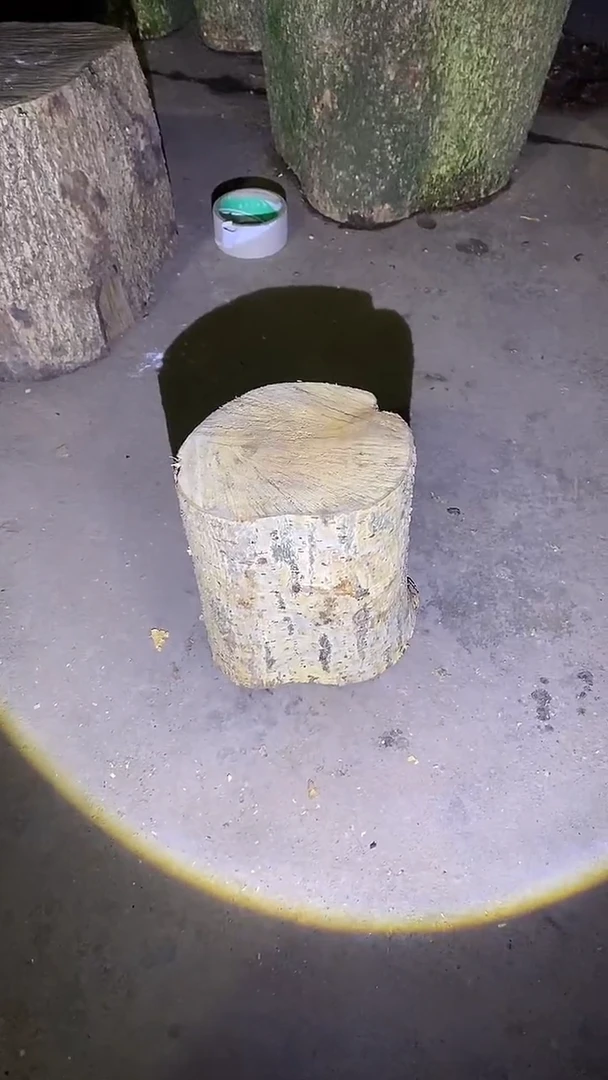 小叶桢楠金丝楠木