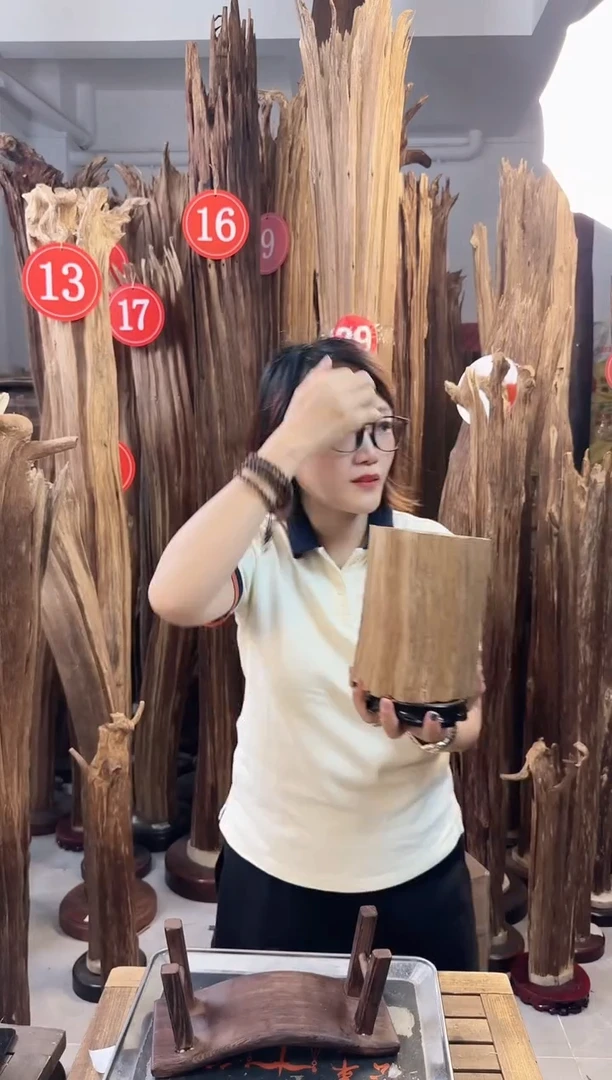 沉香碎屑沉香  沉香多样性发一件71