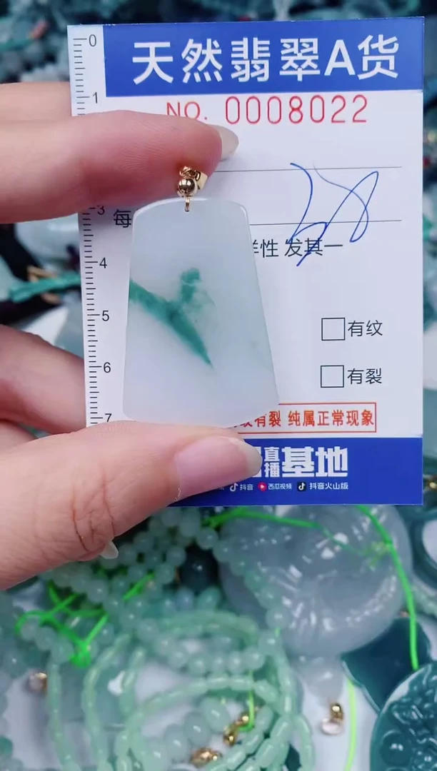颈饰未镶嵌翡翠00008022