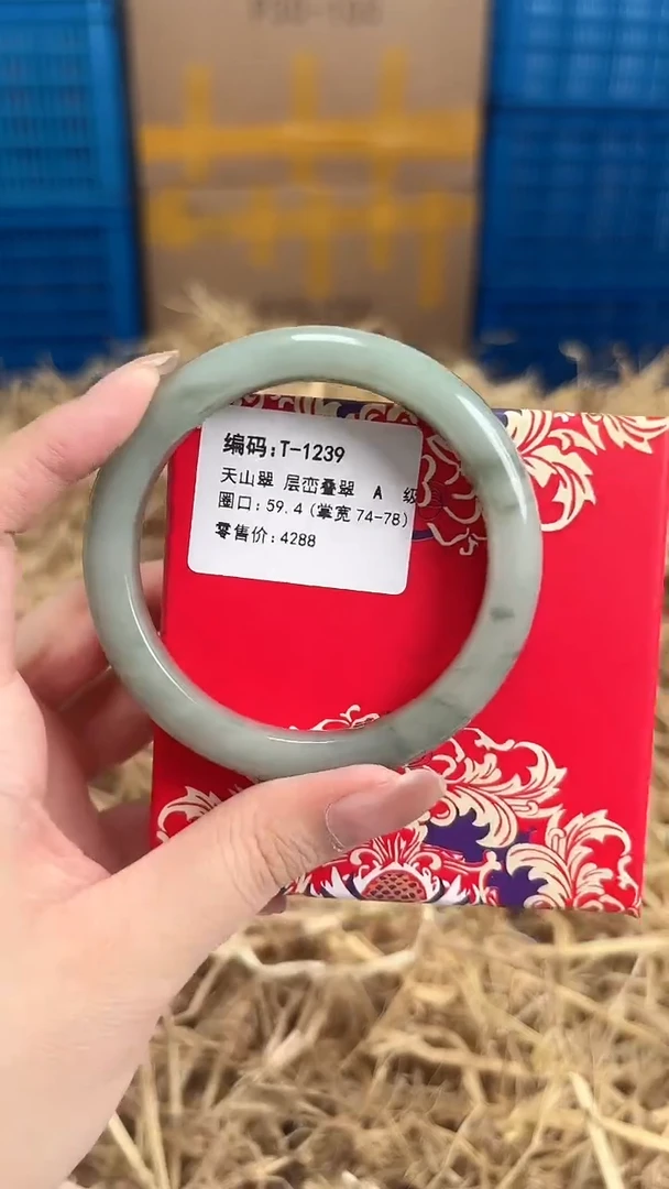 未镶嵌手镯石英质玉T-1239